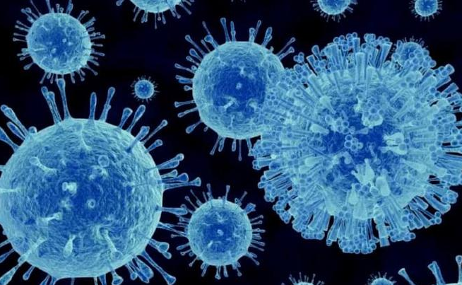 �����������������ᾭ��ʲô������Ч��Ԥ����ʽ�ǽ�������